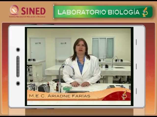 Laboratorio de Biología - Practica 2 - Identificación de compuestos orgánicos Laboratorio de Biología - Practica 2 - Identificación de compuestos orgánicos