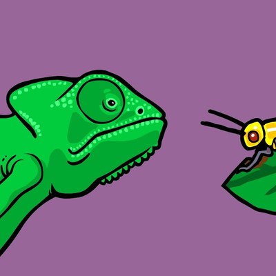 What is Natural Selection? What is Natural Selection?