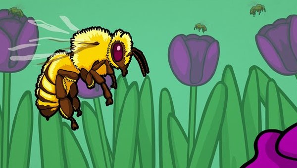 How Does Cooperation Evolve? How Does Cooperation Evolve?