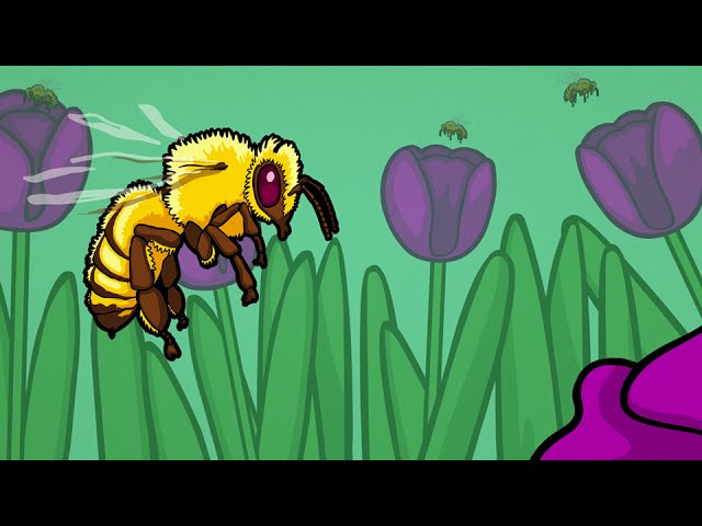 How Does Cooperation Evolve? How Does Cooperation Evolve?