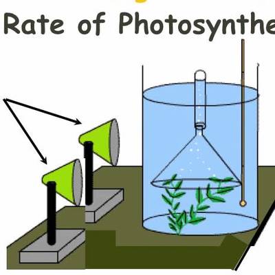 IGCSE 2.10. Rate limiting factors in photosynthesis.  Ms Cooper IGCSE 2.10. Rate limiting factors in photosynthesis.  Ms Cooper