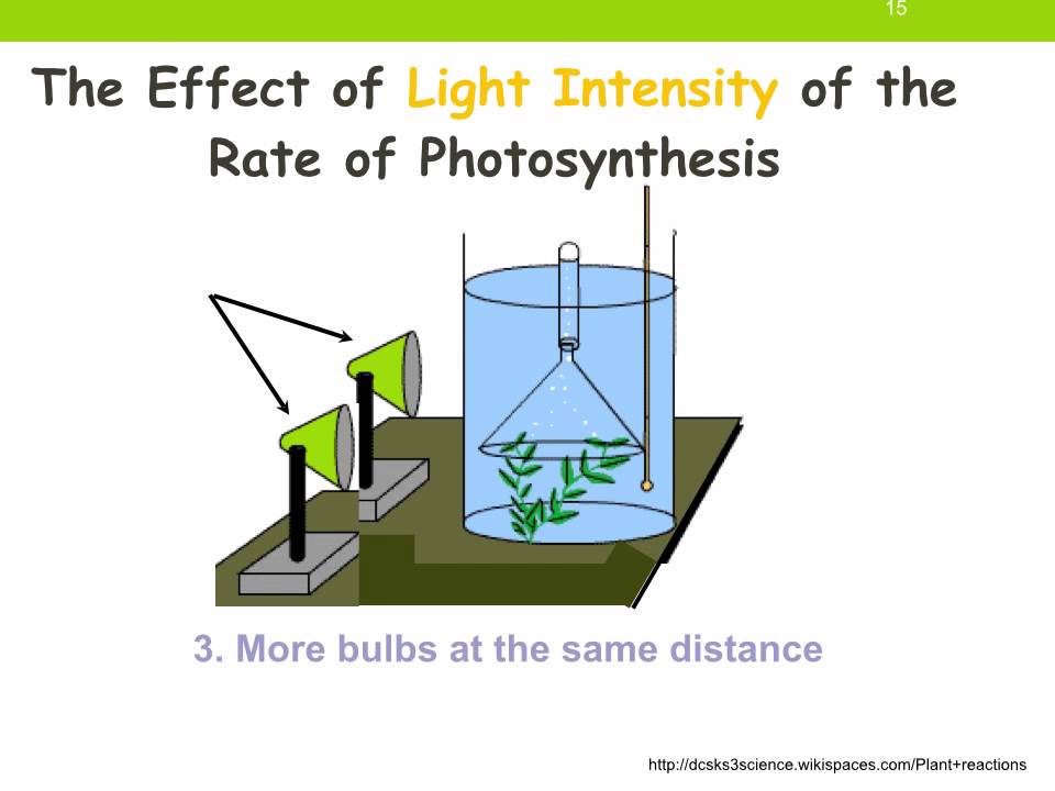 IGCSE 2.10. Rate limiting factors in photosynthesis.  Ms Cooper IGCSE 2.10. Rate limiting factors in photosynthesis.  Ms Cooper