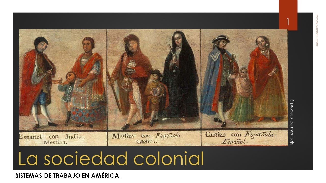 La sociedad colonial La sociedad colonial
