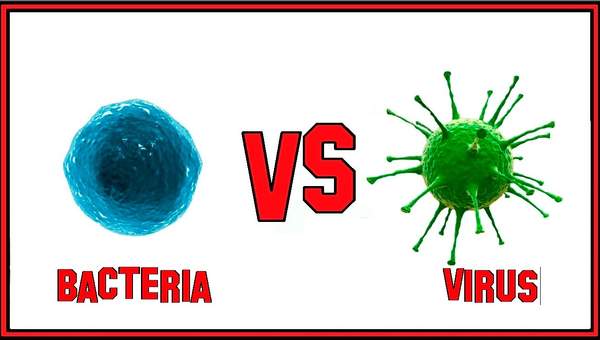 La Diferencia Entre Bacteria y Virus. La Diferencia Entre Bacteria y Virus.