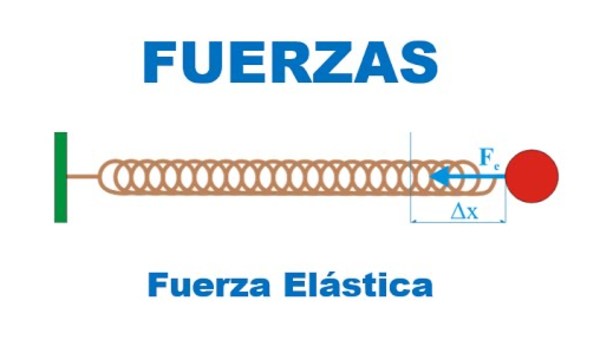 Fuerza elástica Fuerza elástica