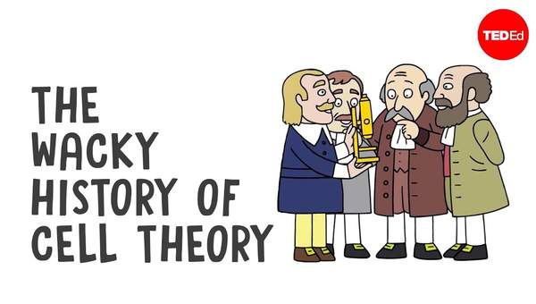 The wacky history of cell theory - Lauren Royal-Woods The wacky history of cell theory - Lauren Royal-Woods
