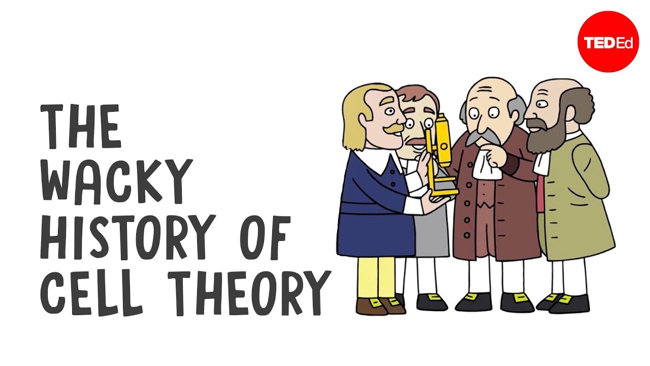 The wacky history of cell theory - Lauren Royal-Woods The wacky history of cell theory - Lauren Royal-Woods