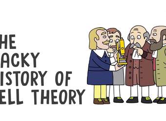 The wacky history of cell theory - Lauren Royal-Woods The wacky history of cell theory - Lauren Royal-Woods
