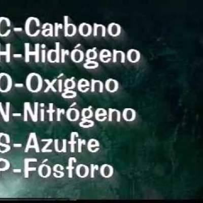 Biomoléculas Biomoléculas