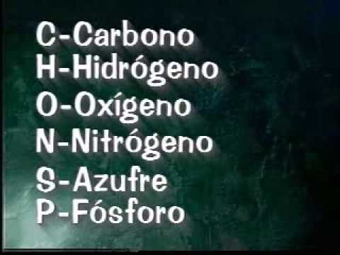 Biomoléculas Biomoléculas