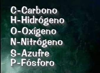 Biomoléculas Biomoléculas