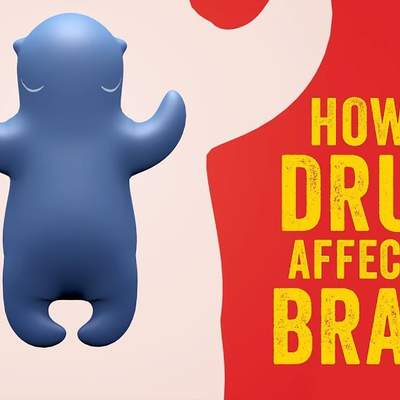 How do drugs affect the brain? - Sara Garofalo How do drugs affect the brain? - Sara Garofalo