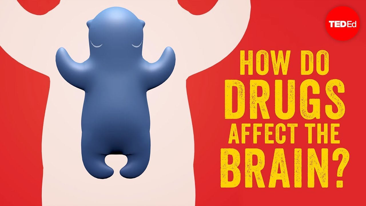How do drugs affect the brain? - Sara Garofalo How do drugs affect the brain? - Sara Garofalo
