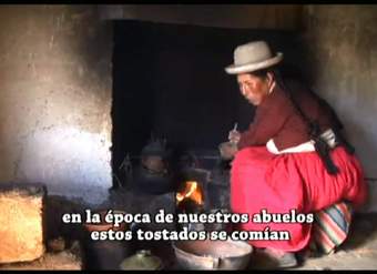 COMIDA AYMARA - TESOROS VIVIENTES COMIDA AYMARA - TESOROS VIVIENTES