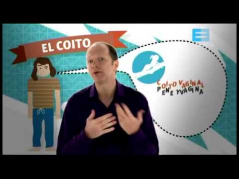 Pubertad y adolescencia 1 Pubertad y adolescencia 1