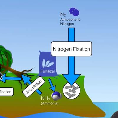 Biogeochemical Cycles Biogeochemical Cycles