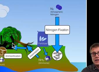 Biogeochemical Cycles Biogeochemical Cycles