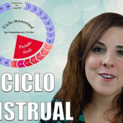 EL CICLO MENSTRUAL:  fases del ciclo, ovulación y menstruación EL CICLO MENSTRUAL:  fases del ciclo, ovulación y menstruación