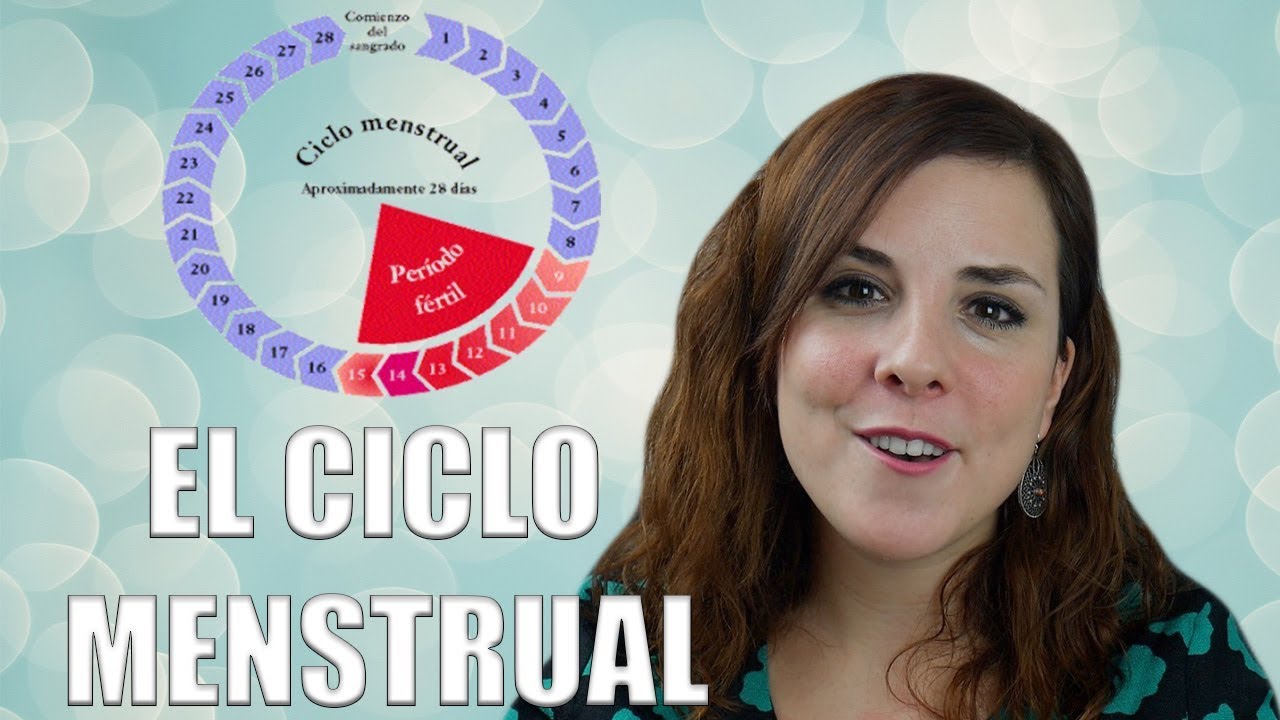 EL CICLO MENSTRUAL:  fases del ciclo, ovulación y menstruación EL CICLO MENSTRUAL:  fases del ciclo, ovulación y menstruación