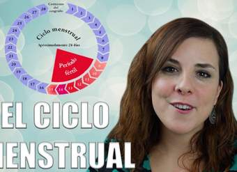 EL CICLO MENSTRUAL:  fases del ciclo, ovulación y menstruación EL CICLO MENSTRUAL:  fases del ciclo, ovulación y menstruación