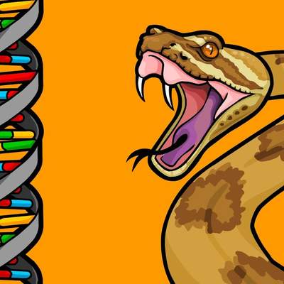 Part 2: How Does New Genetic Information Evolve? Gene Duplications Part 2: How Does New Genetic Information Evolve? Gene Duplications