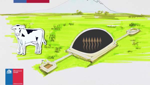 Biogás: la energía de los desechos Biogás: la energía de los desechos