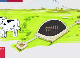 Biogás: la energía de los desechos Biogás: la energía de los desechos