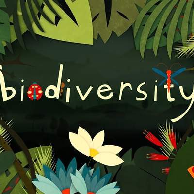 Why is biodiversity so important? - Kim Preshoff Why is biodiversity so important? - Kim Preshoff