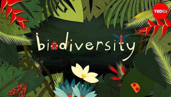 Why is biodiversity so important? - Kim Preshoff Why is biodiversity so important? - Kim Preshoff