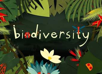 Why is biodiversity so important? - Kim Preshoff Why is biodiversity so important? - Kim Preshoff
