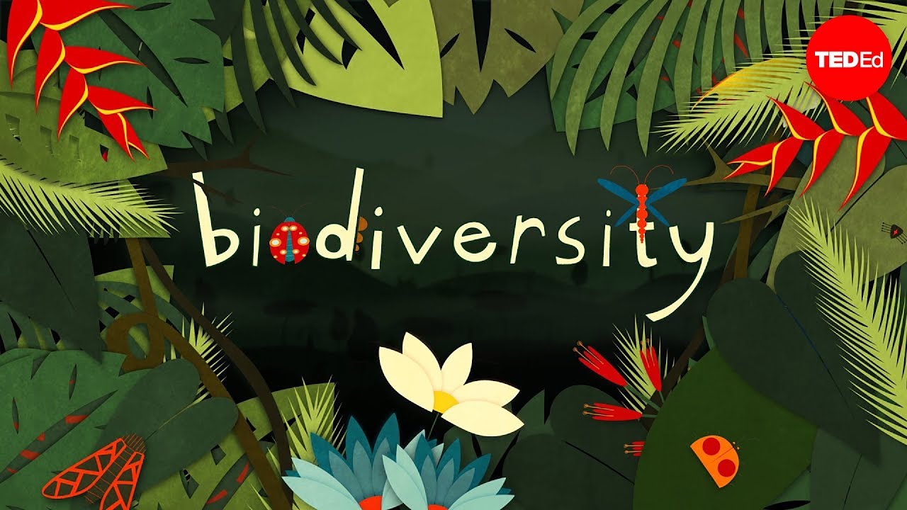 Why is biodiversity so important? - Kim Preshoff Why is biodiversity so important? - Kim Preshoff