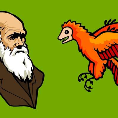 What is Evolution? What is Evolution?