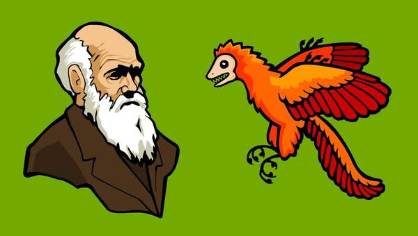 What is Evolution? What is Evolution?