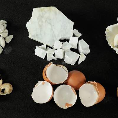 Carbonato de Calcio Carbonato de Calcio