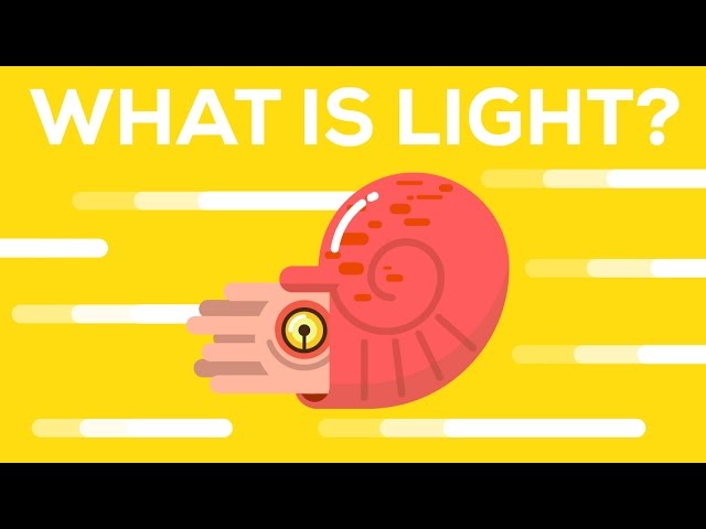 What Is Light? What Is Light?