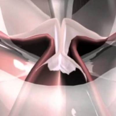 Laringe Humana, Ciclo Vibratorio de las Cuerdas Vocales Laringe Humana, Ciclo Vibratorio de las Cuerdas Vocales