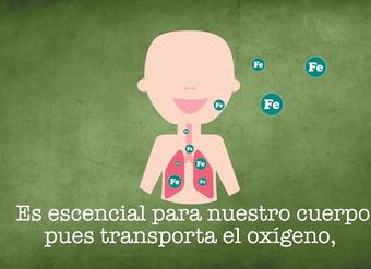 Hierro, el cuarto elemento más abundante en la Tierra Hierro, el cuarto elemento más abundante en la Tierra