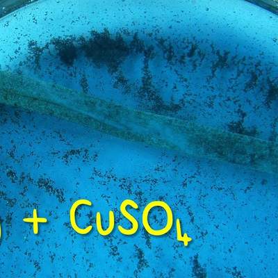 Reacción del Magnesio con el Sulfato de Cobre (II) Reacción del Magnesio con el Sulfato de Cobre (II)