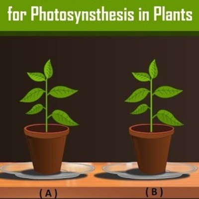 Carbon Dioxide is necessary for Photosynthesis in Plants with Simple Experiment Carbon Dioxide is necessary for Photosynthesis in Plants with Simple Experiment