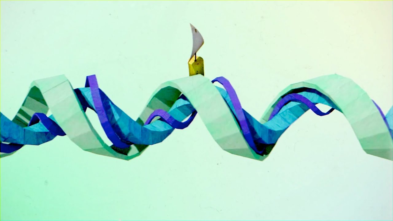 What is color? - Colm Kelleher What is color? - Colm Kelleher