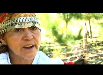 DICCIONARIO MAPUCHE-PEWENCHE DICCIONARIO MAPUCHE-PEWENCHE