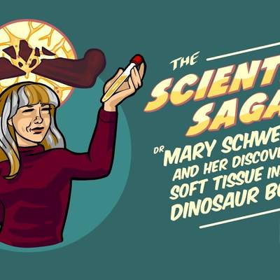 Soft Tissue Found Inside a Dinosaur Bone! Soft Tissue Found Inside a Dinosaur Bone!