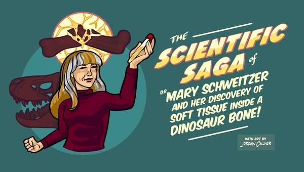 Soft Tissue Found Inside a Dinosaur Bone! Soft Tissue Found Inside a Dinosaur Bone!