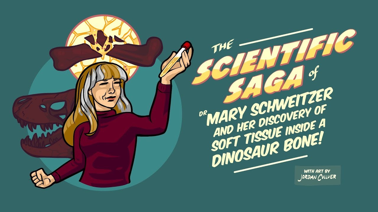 Soft Tissue Found Inside a Dinosaur Bone! Soft Tissue Found Inside a Dinosaur Bone!