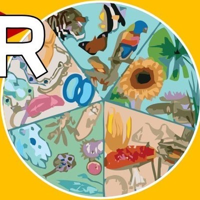 TEORÍA CELULAR TEORÍA CELULAR