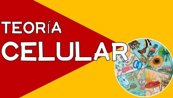 TEORÍA CELULAR TEORÍA CELULAR