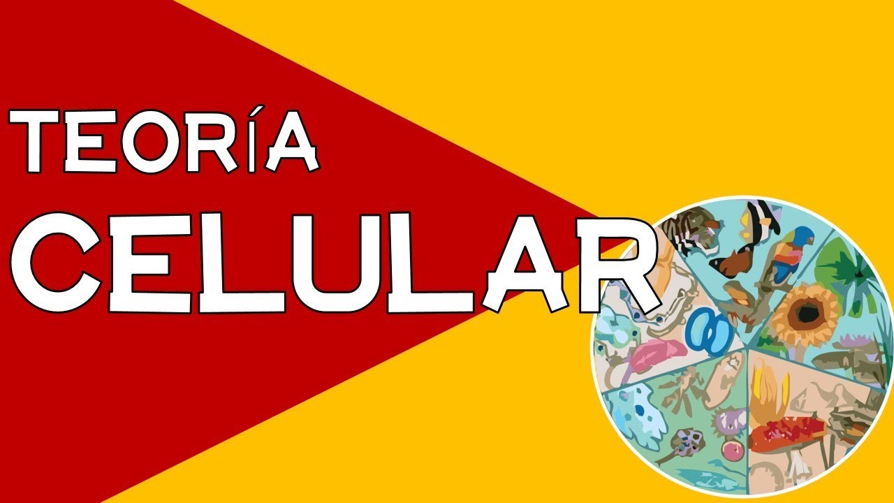TEORÍA CELULAR TEORÍA CELULAR