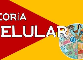TEORÍA CELULAR TEORÍA CELULAR