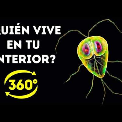 La Vida Secreta De Las Bacterias En Tu Cuerpo || 360 VR La Vida Secreta De Las Bacterias En Tu Cuerpo || 360 VR