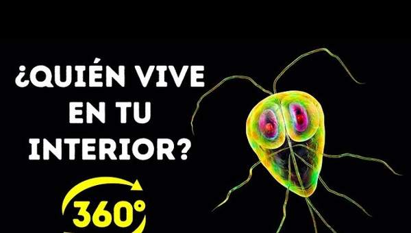 La Vida Secreta De Las Bacterias En Tu Cuerpo || 360 VR La Vida Secreta De Las Bacterias En Tu Cuerpo || 360 VR